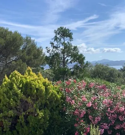 Jolie Studio Vue Mer St Aygulf